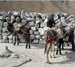 Many Bonded Child Laborers  Work in Takhar Salt Mine